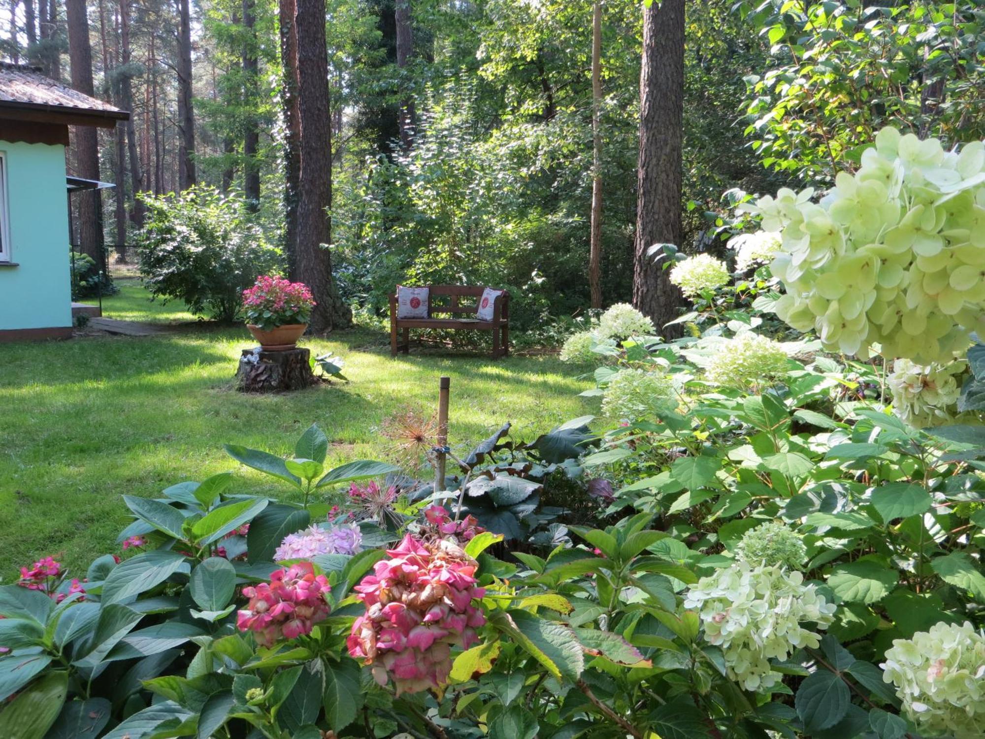 Kastavengrund - Ferienhaeuser Mit Kamin Lychen Exteriör bild